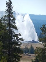 Old Faithful from a distance